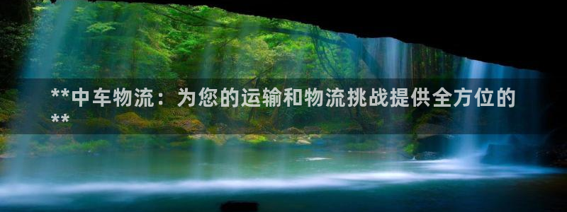 28圈麻将胡了：**中车物流：为您的