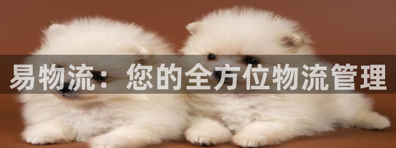 28圈登录流程：易物流：您的全方位物