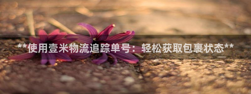28圈加拿大开奖：**使用壹米物流追