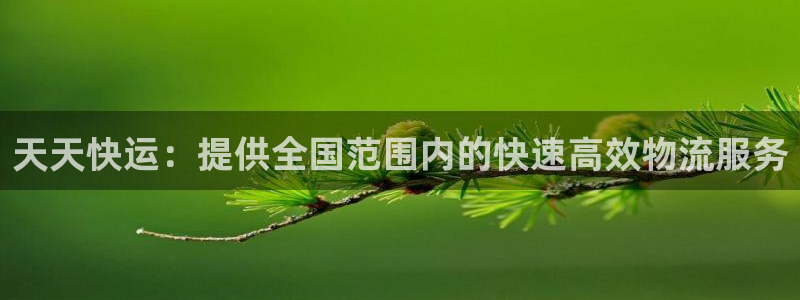 28圈怎么注册：天天快运：提供全国范
