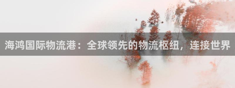 28圈机器人是什么软件：海鸿国际物流