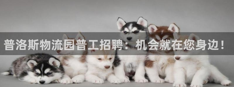 28圈免费充钱：普洛斯物流园普工招聘