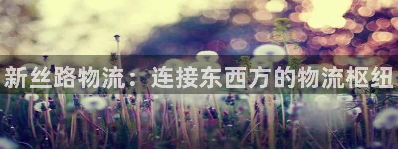 28圈能不能退：新丝路物流：连接东西