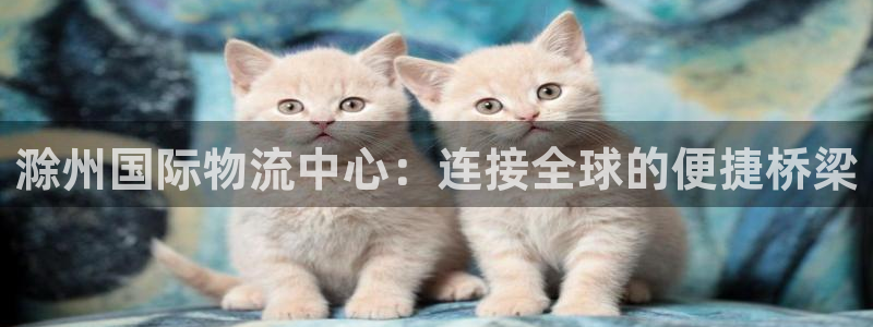 28圈.ccm南宫