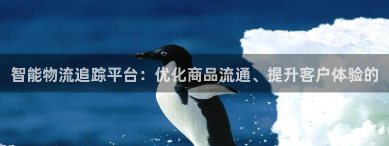 28圈注册网站谁有
