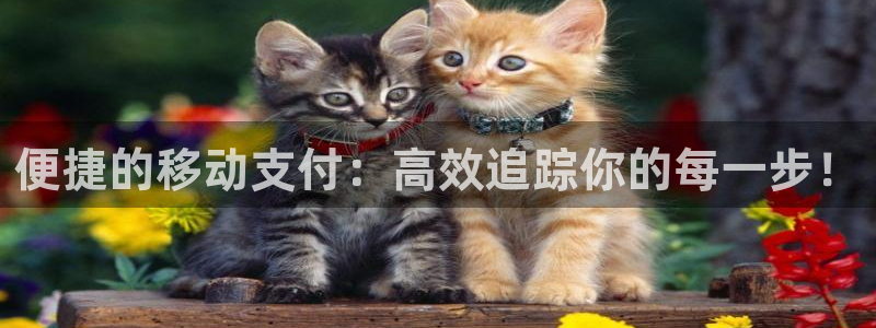 28圈能赢钱吗