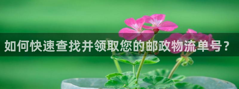 28圈分分28输了能不能退