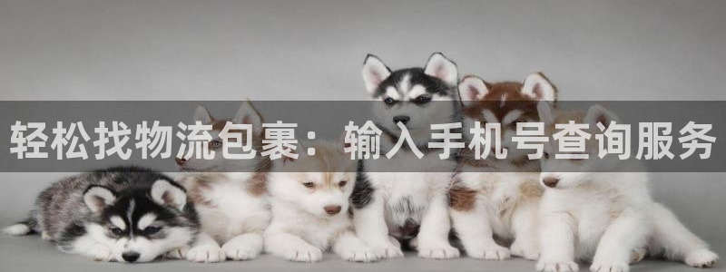 28圈app官网少林足球