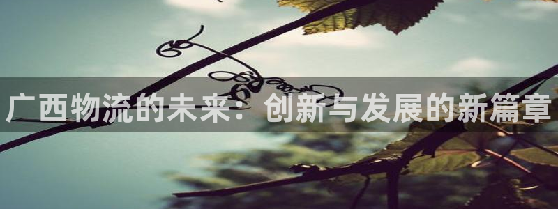 28圈流水怎么算:广西物流的未来:创