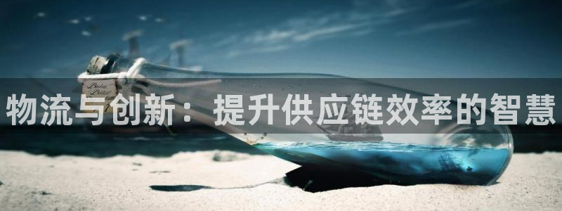 28圈登录:物流与创新:提升供应链效