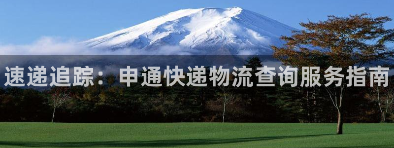 28圈不给提现：速递追踪：申通快递物流查询服务指南