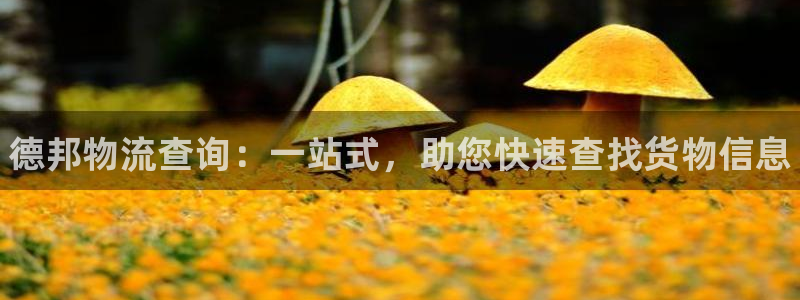 28圈账号注册：德邦物流查询：一站式