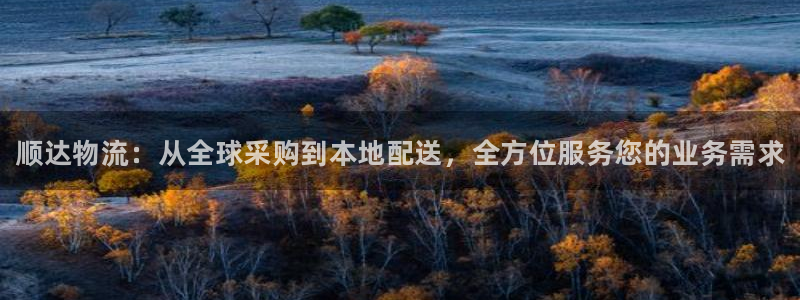 28圈加拿大6.0：顺达物流：从全球