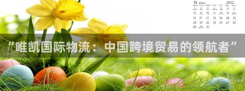 28圈登录网：“唯凯国际物流：中国跨