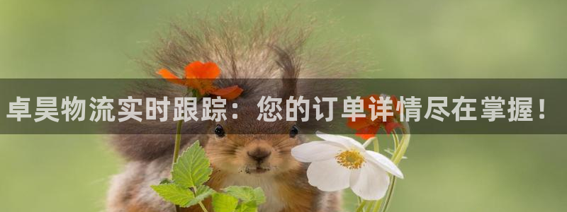 28圈注册用户名是什么:卓昊物流实时