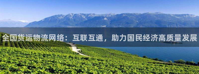 28圈游戏最新版:全国货运物流网络: