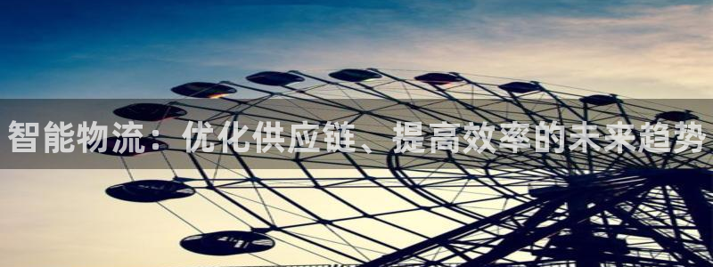 28圈模拟器下载：智能物流：优化供应