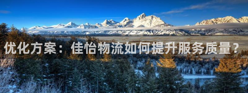 28圈在线预测：优化方案：佳怡物流如