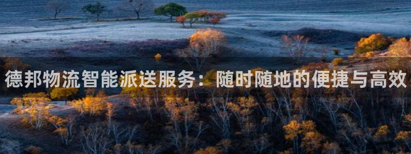 28圈官方版网站：德邦物流智能派送服