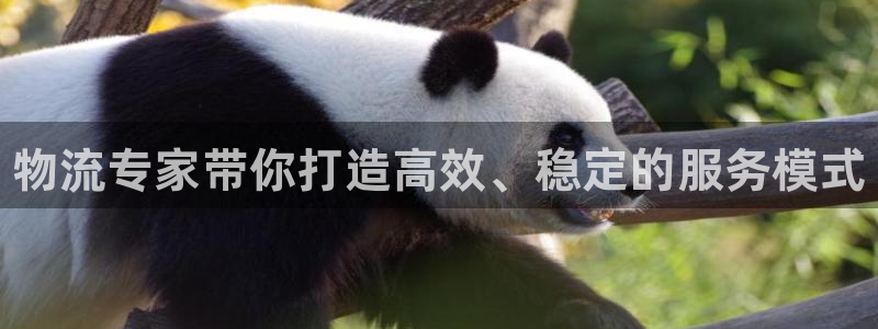 28圈注册链接入口：物流专家带你打造