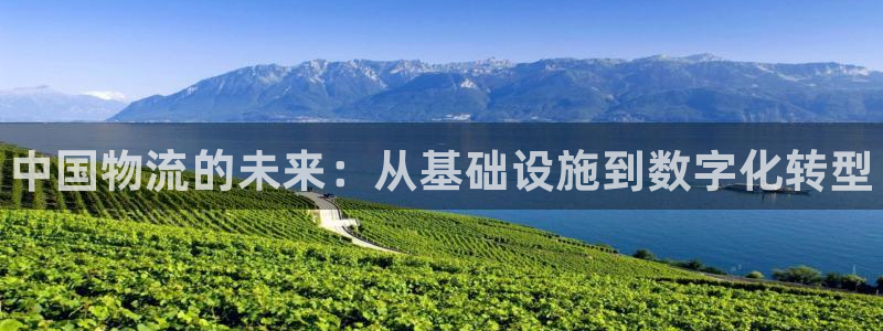 28圈加拿大是什么意思：中国物流的未来：从基础设施到数字化转