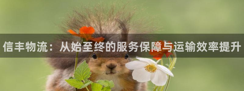 28圈游戏官网平台：信丰物流：从始至