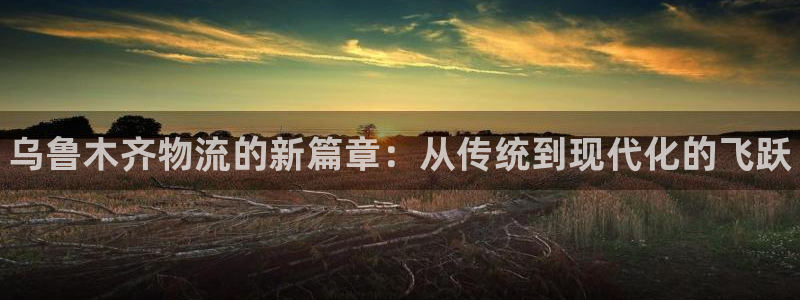 28圈退款:乌鲁木齐物流的新篇章:从