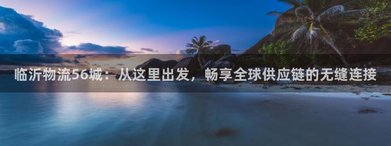 28圈PG电子游戏：临沂物流56城：