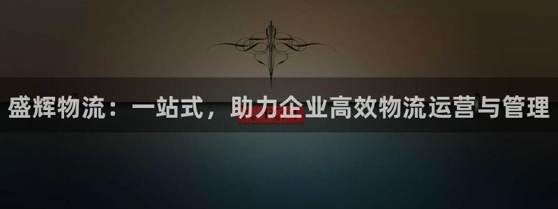 28圈pg如何退钱：盛辉物流：一站式