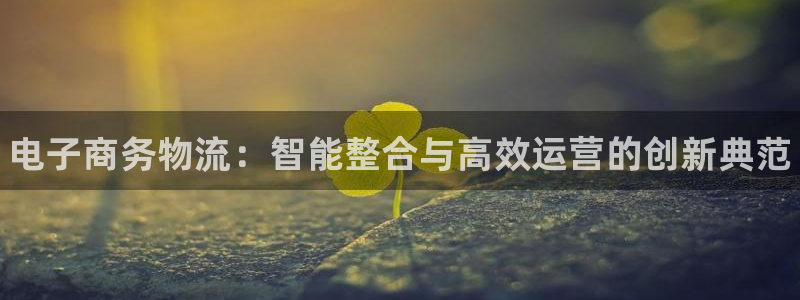 28圈怎么下载教程：电子商务物流：智