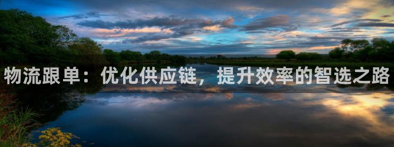 28圈cn:物流跟单:优化供应链,提