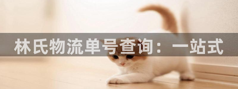 28圈退款教程：林氏物流单号查询：一