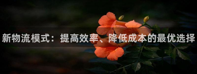 28圈官网版2024：新物流模式：提