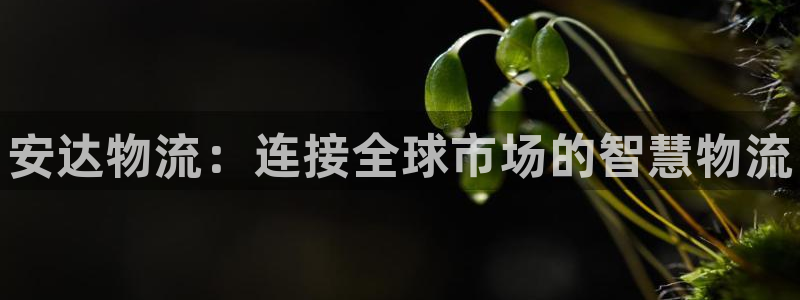 28圈注册链接入口：安达物流：连接全