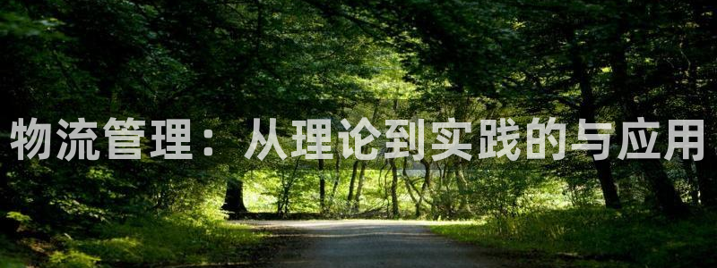 28圈系统自动保护：物流管理：从理论