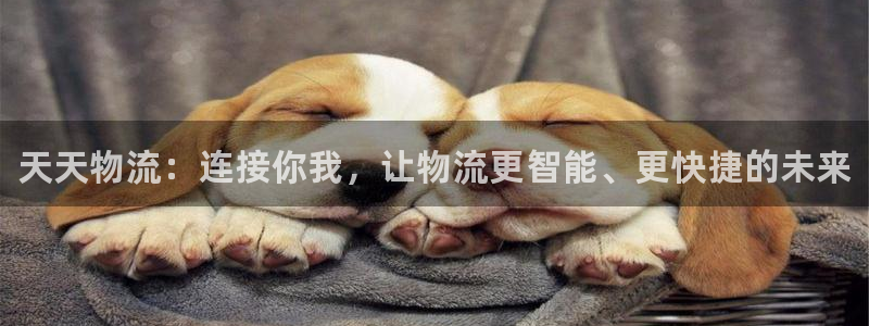 28圈绿骨头：天天物流：连接你我，让