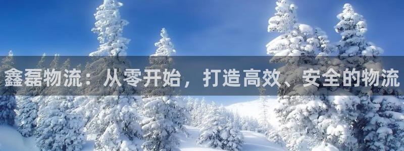 28圈注册网站加拿大：鑫磊物流：从零